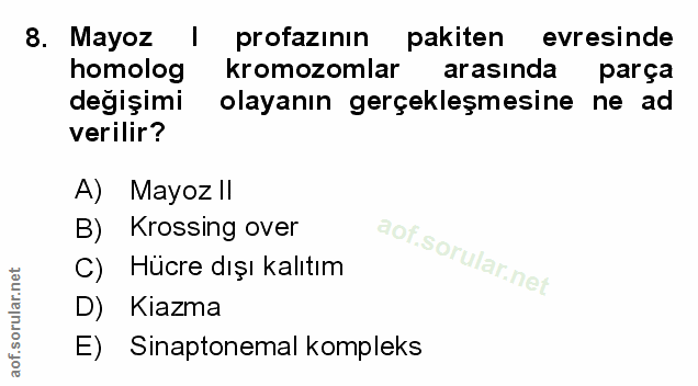 Soru 8