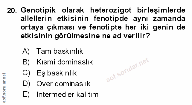 Soru 20