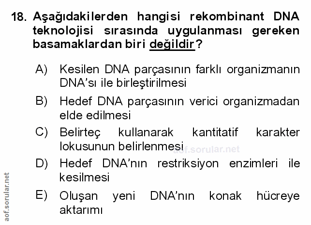 Soru 18