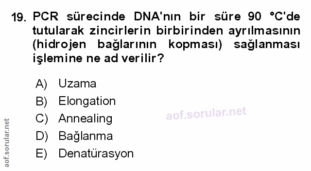 Soru 19