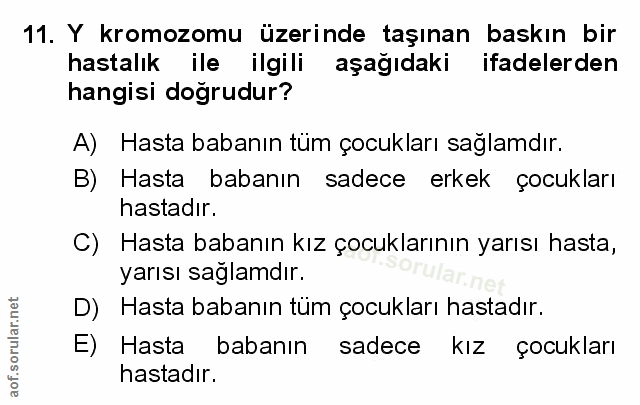 Soru 11