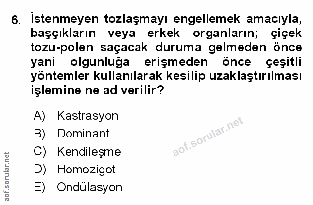 Soru 6