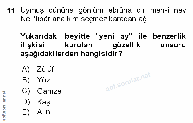 Soru 11