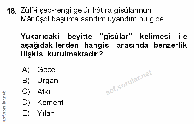 Soru 18