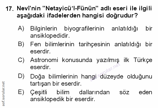 Soru 17