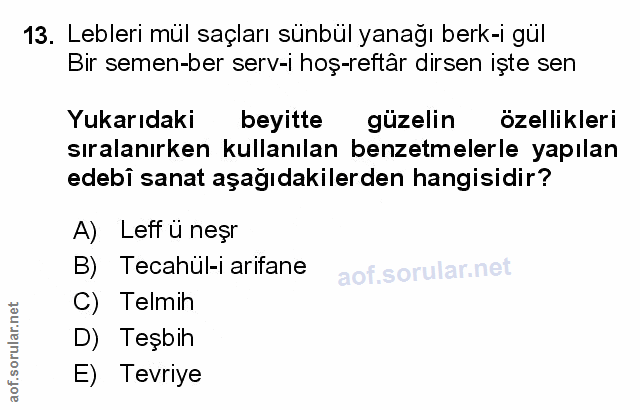 Soru 13