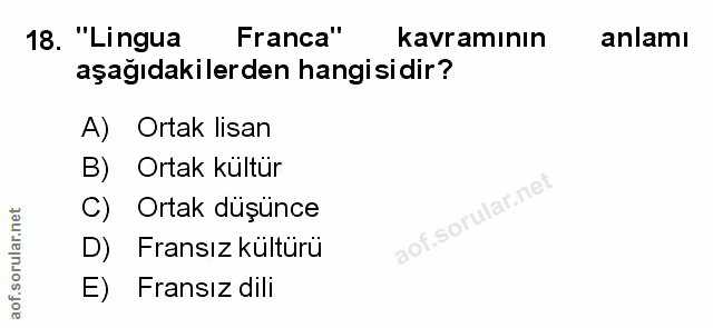 Soru 18