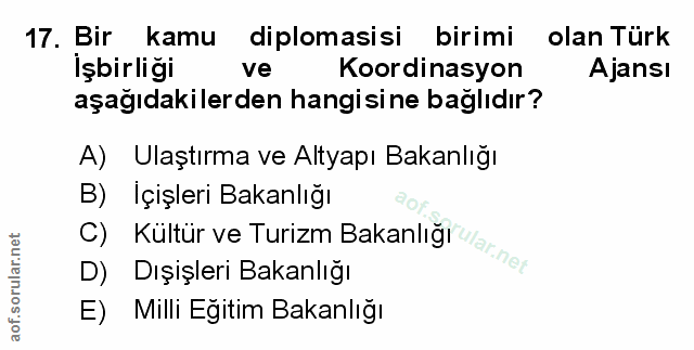Soru 17