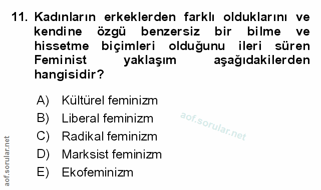 Soru 11