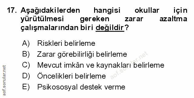 Soru 17