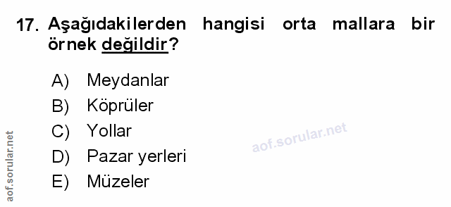 Soru 17