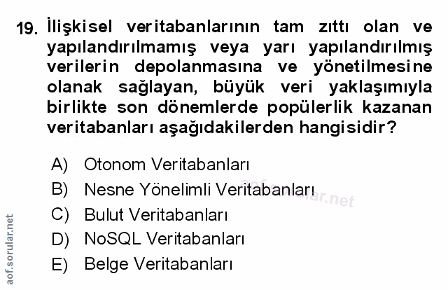Soru 19