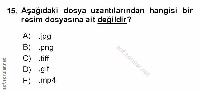 Soru 15