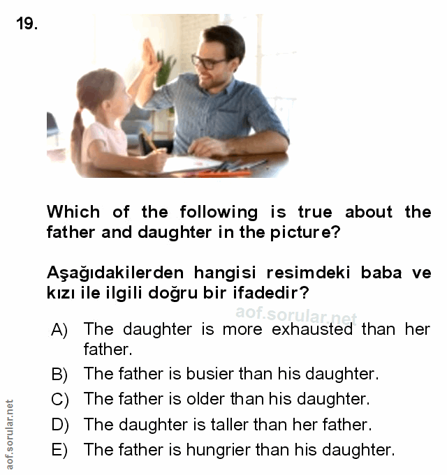 Soru 19