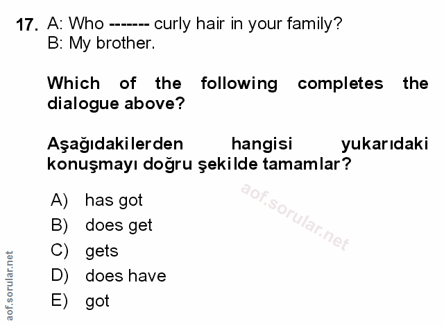 Soru 17