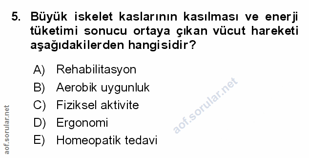 Soru 5