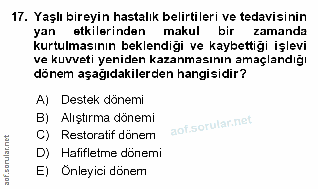 Soru 17
