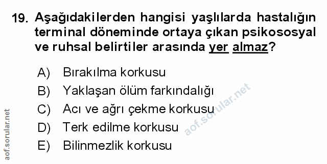 Soru 19