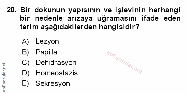 Soru 20