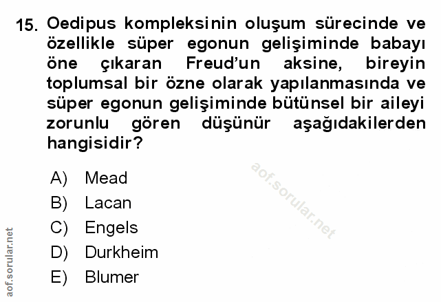 Soru 15