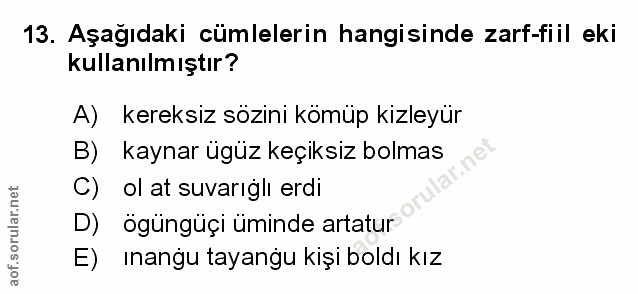 Soru 13