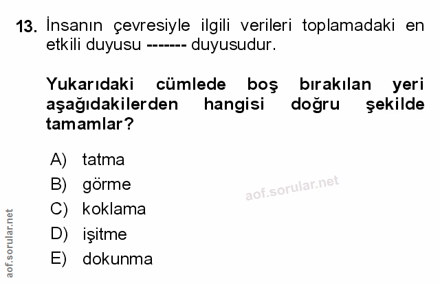 Soru 13