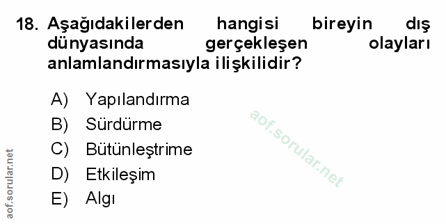 Soru 18