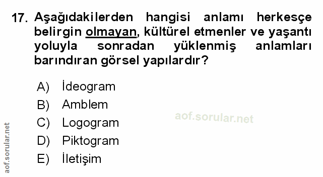 Soru 17