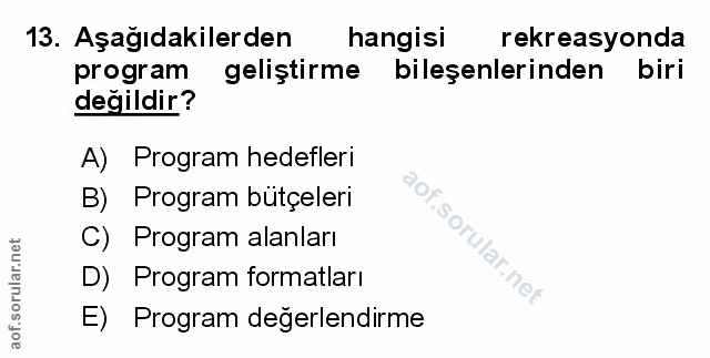 Soru 13