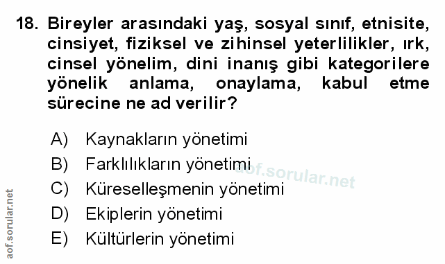 Soru 18