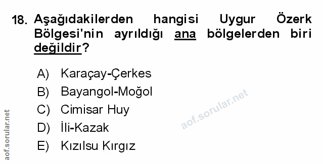Soru 18