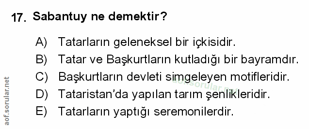 Soru 17
