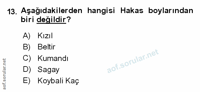 Soru 13