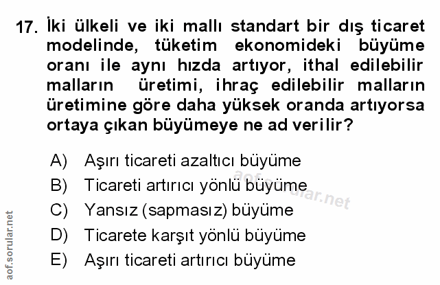 Soru 17