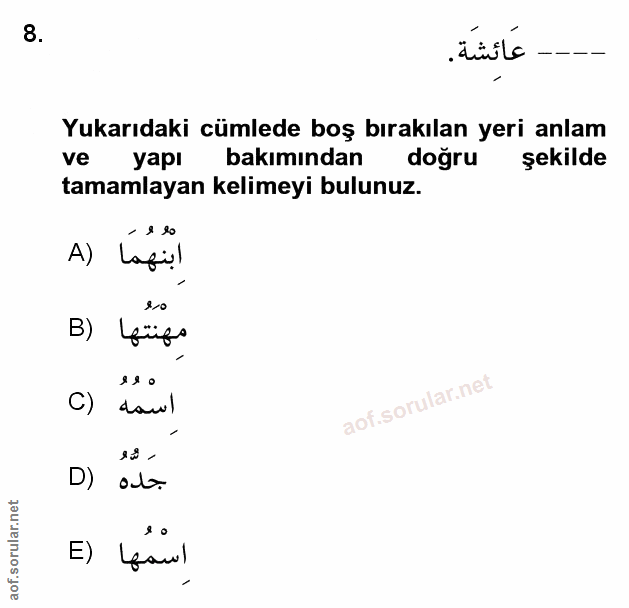 Soru 8