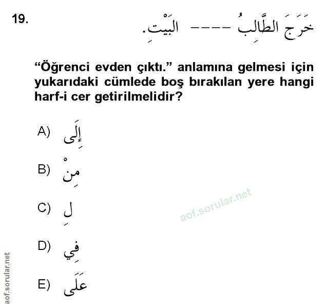 Soru 19