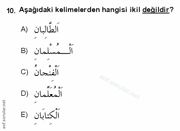 Soru 10