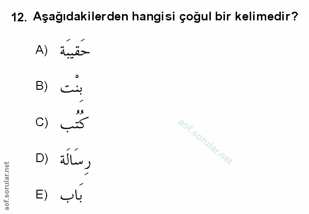 Soru 12