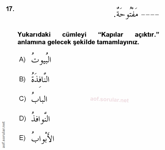 Soru 17