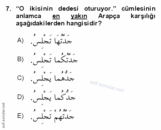 Soru 7