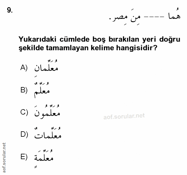 Soru 9
