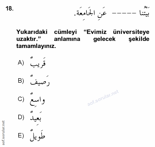 Soru 18