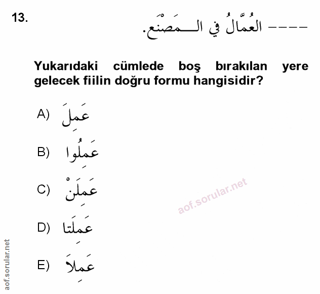 Soru 13