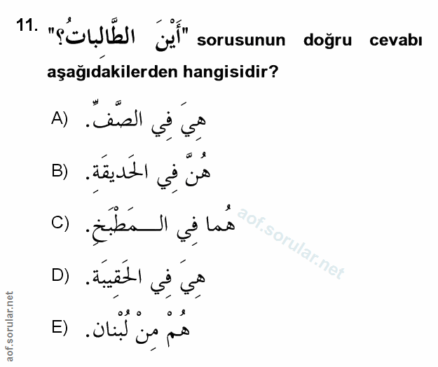 Soru 11