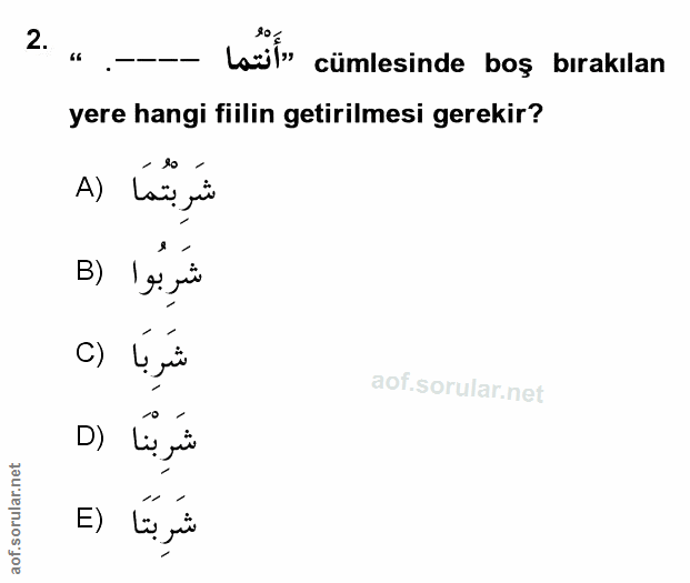 Soru 2