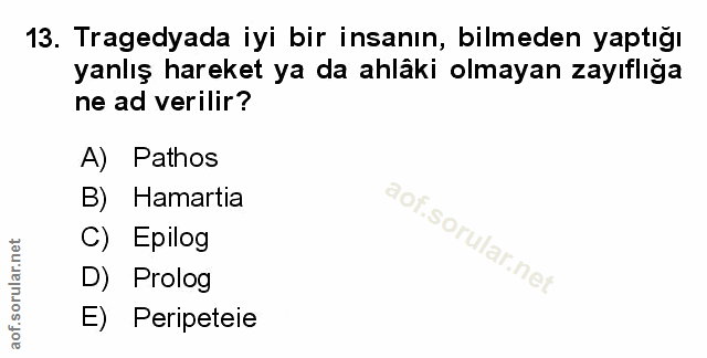 Soru 13