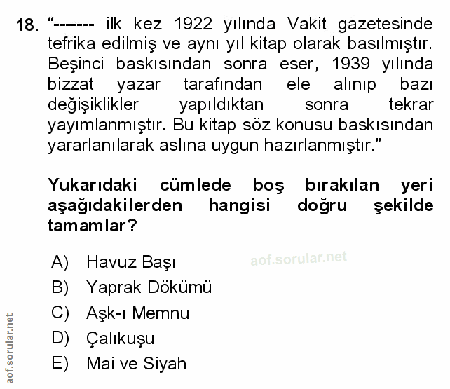 Soru 18