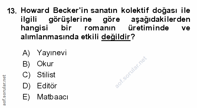 Soru 13