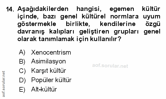 Soru 14