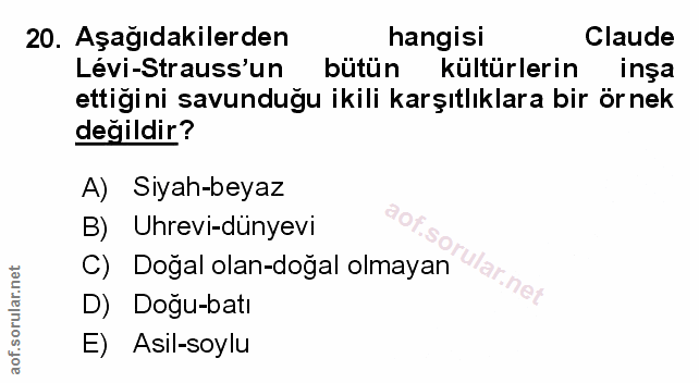 Soru 20